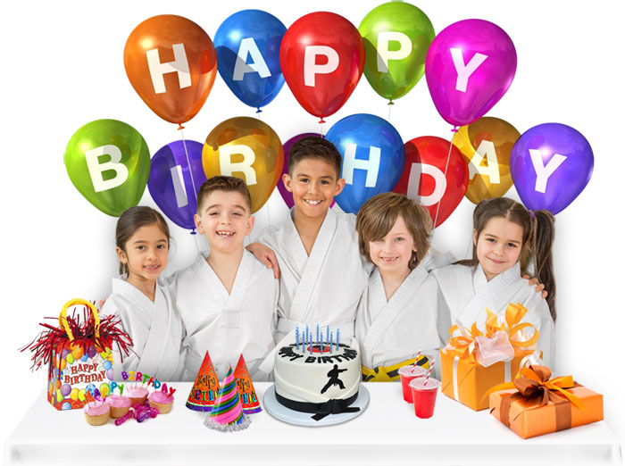 Lehigh Valley Samurai Academy Karate Birthday Party
